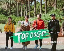 绿帽换妻《TOP DOG》免费在线观看