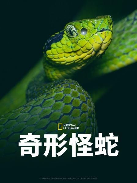 绿帽献妻《奇形怪蛇》免费在线观看